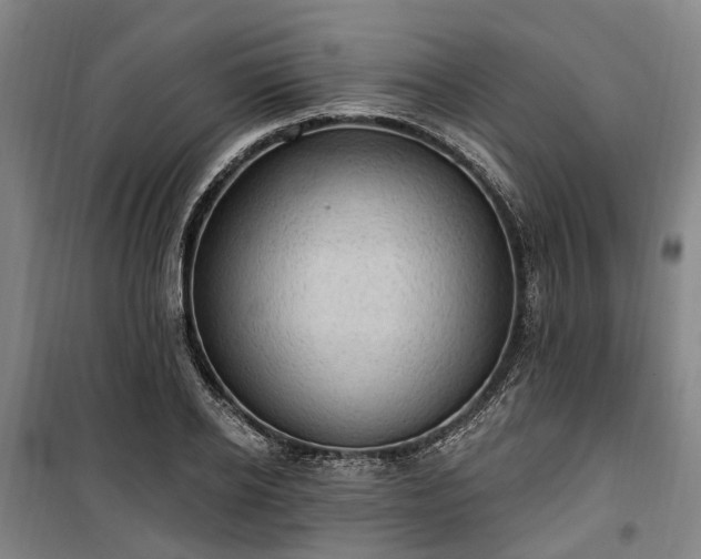 X0000100330934200806121124