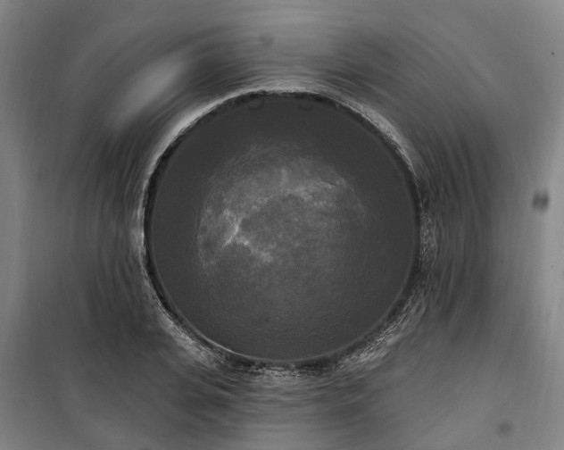 X0000100330935200806121124