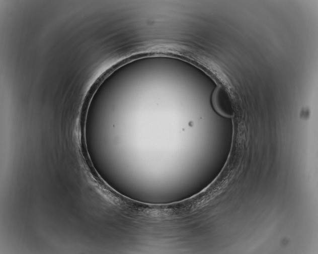 X0000100330936200806121124