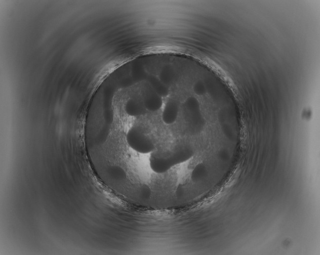 X0000100330937200806121124