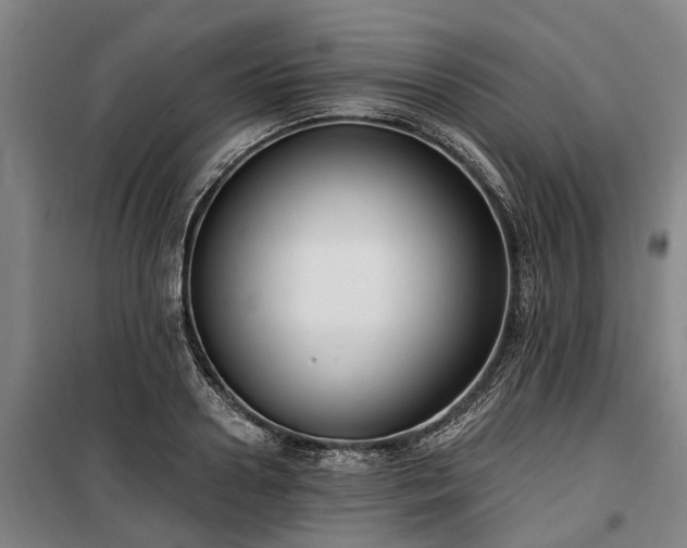 X0000100330938200806121124