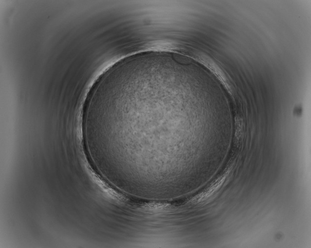 X0000100330939200806121124