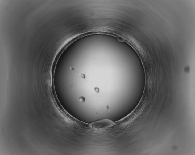 X0000100330940200806121124