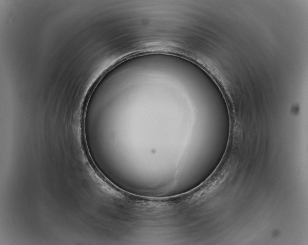 X0000100330941200806121124