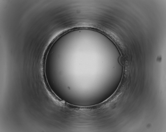 X0000100330942200806121124