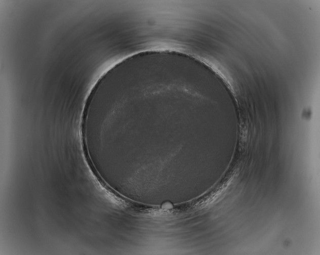 X0000100330943200806121124