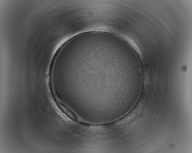 X0000100330944200806121124