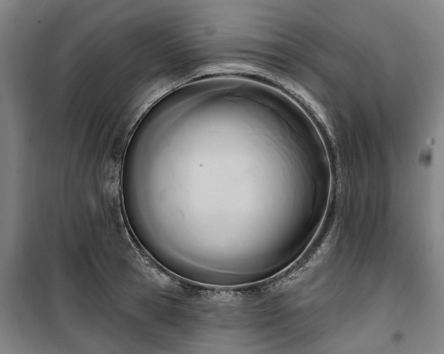 X0000100330945200806121124