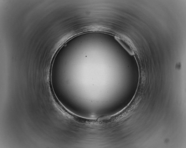 X0000100330946200806121124