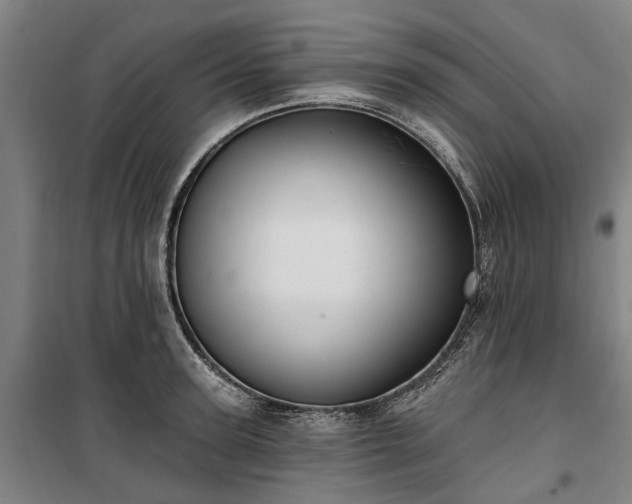 X0000100330947200806121124