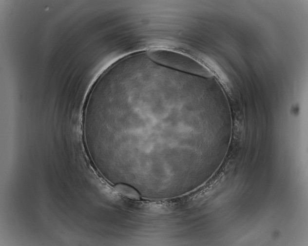 X0000100330948200806121124