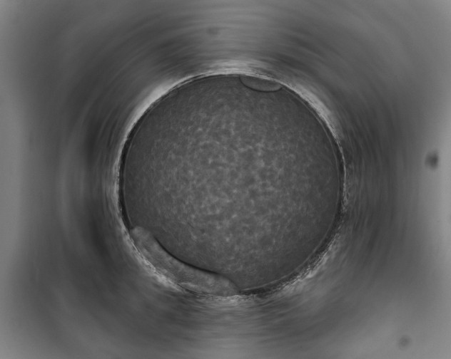 X0000100330949200806121124