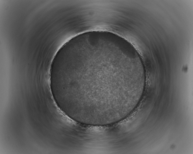 X0000100330950200806121124