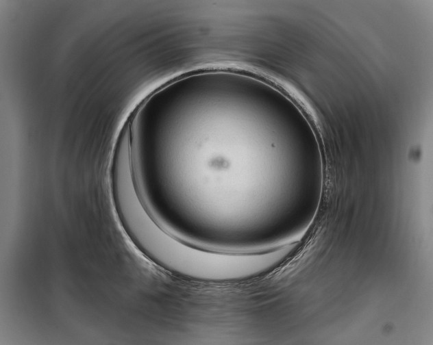 X0000100330951200806121124