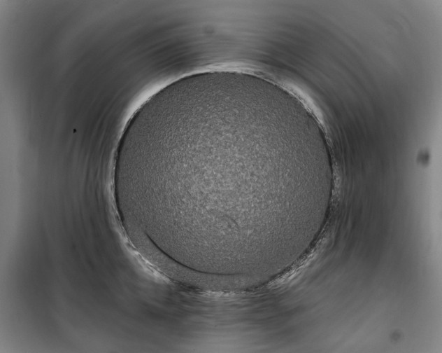 X0000100330952200806121124