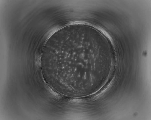 X0000100330953200806121124