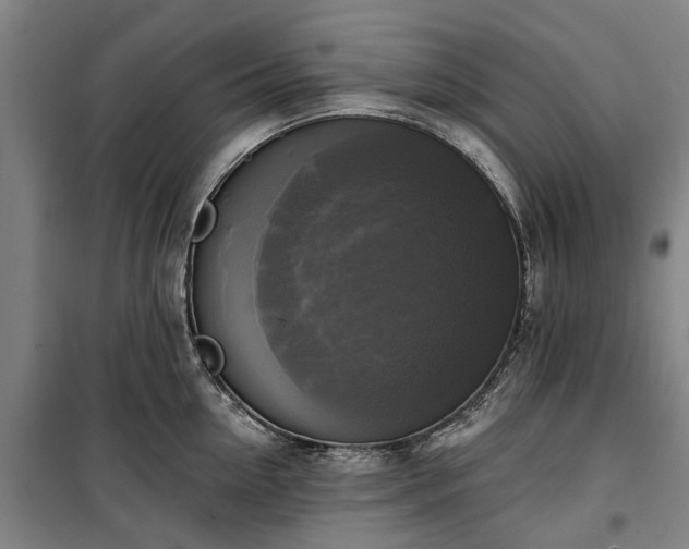 X0000100330954200806121124