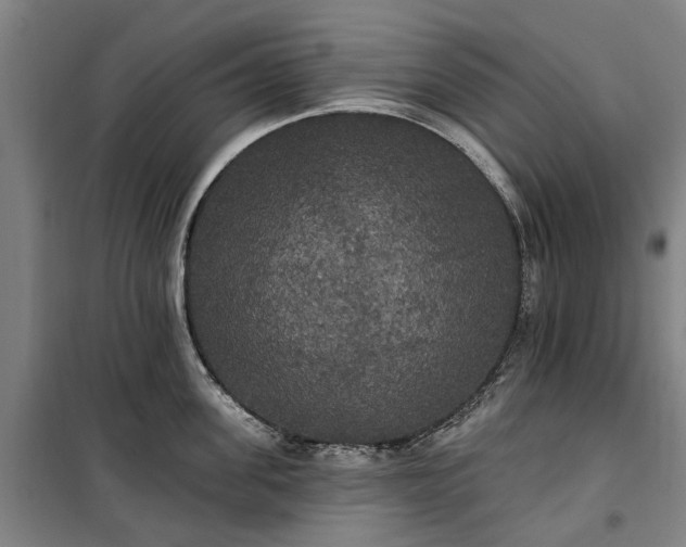 X0000100330955200806121124