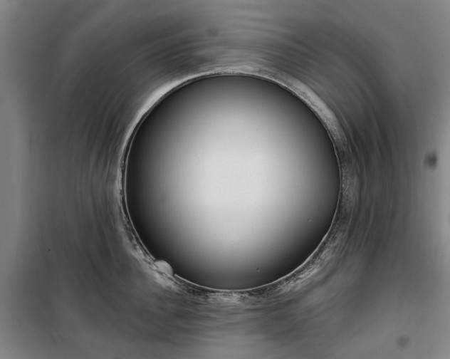 X0000100330956200806121124