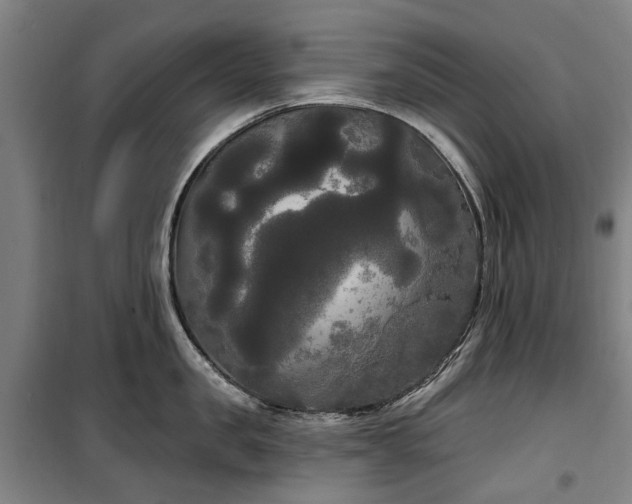 X0000100330957200806121124