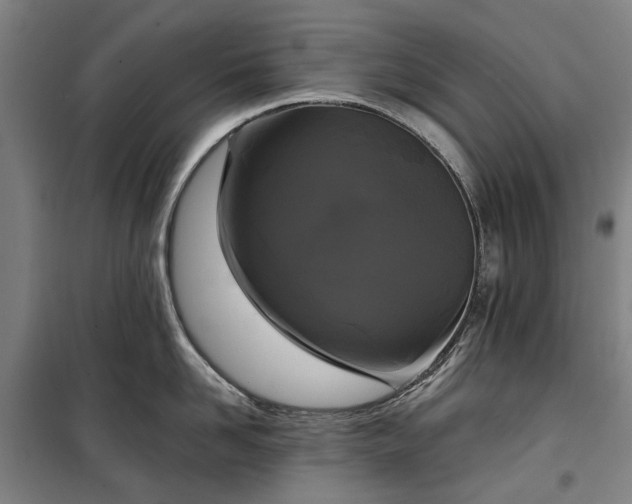 X0000100330958200806121124