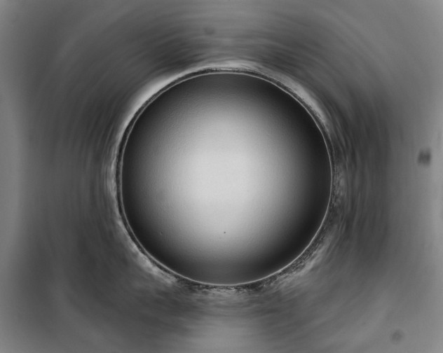 X0000100330959200806121124