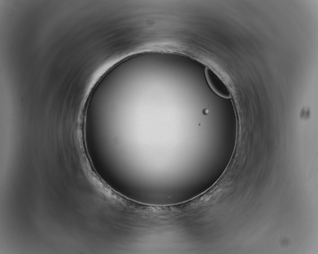 X0000100330960200806121124