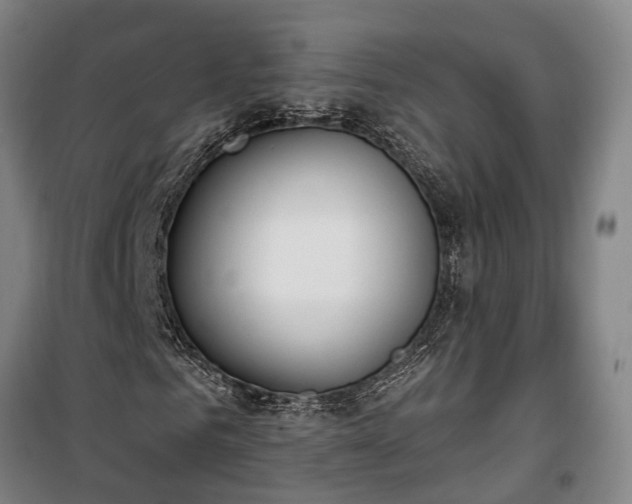 X0000100330961200806121124