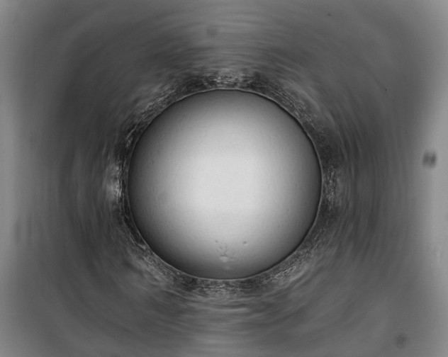 X0000100330962200806121124