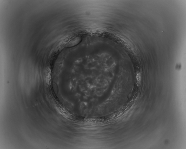 X0000100330963200806121124