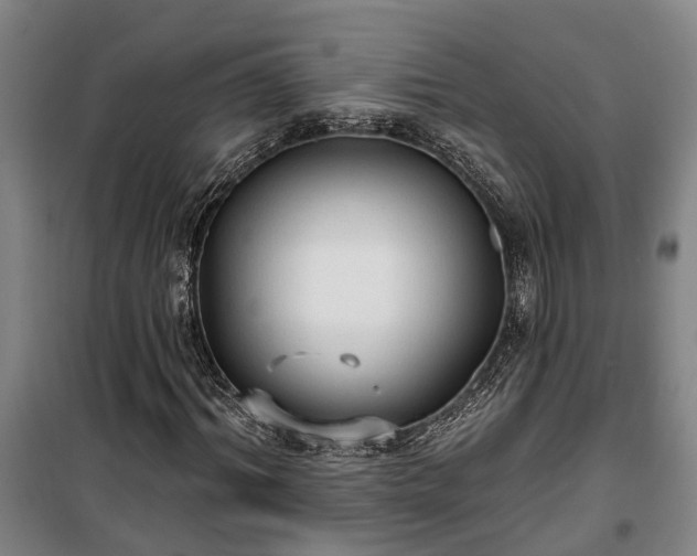 X0000100330964200806121124