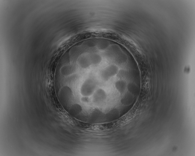 X0000100330966200806121124