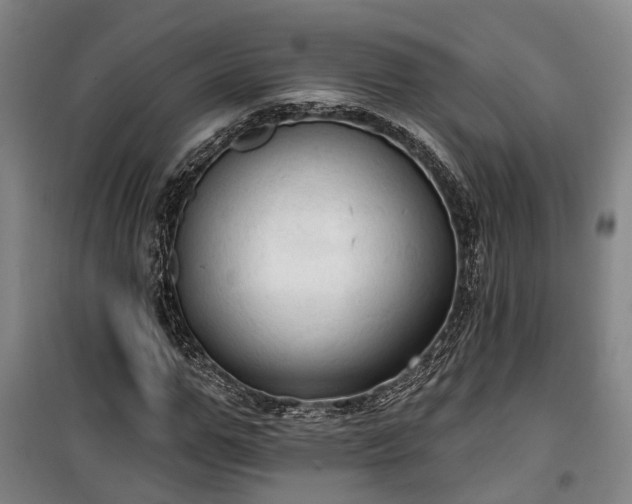 X0000100330967200806121124