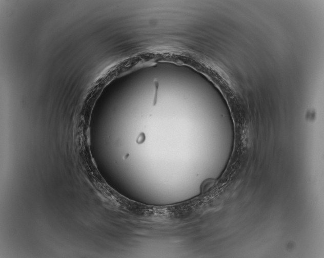 X0000100330968200806121124