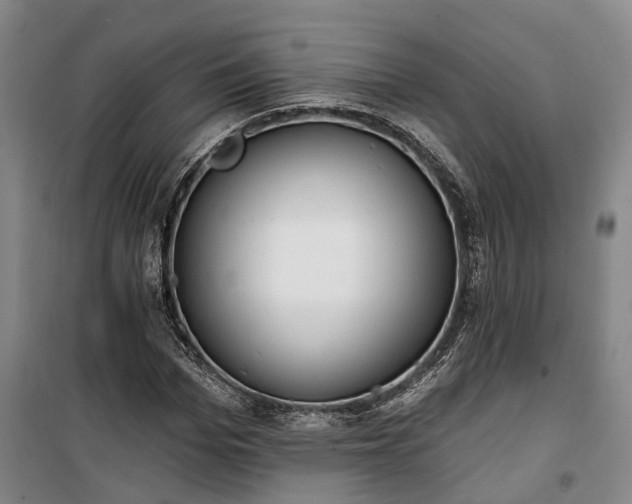 X0000100330969200806121124