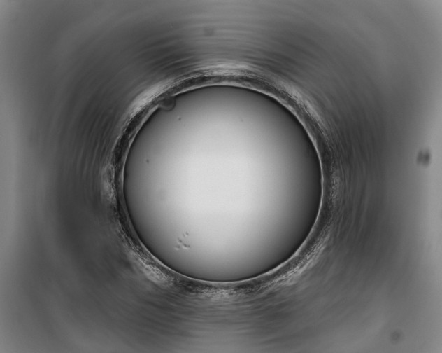 X0000100330970200806121124