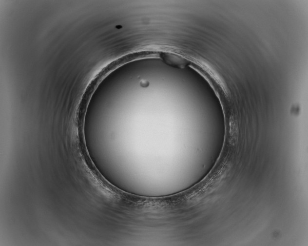 X0000100330972200806121124