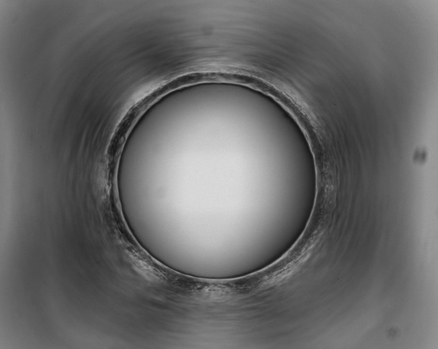 X0000100330974200806121124