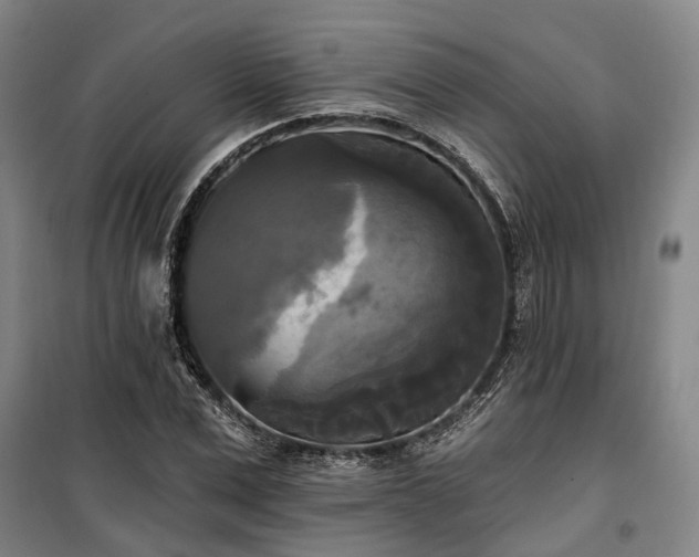 X0000100330975200806121124