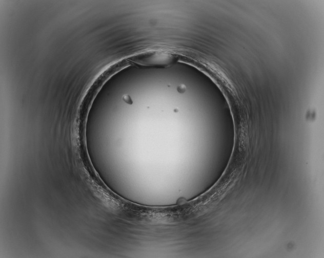 X0000100330976200806121124