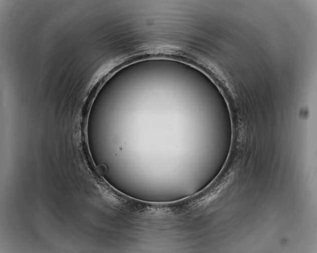 X0000100330978200806121124