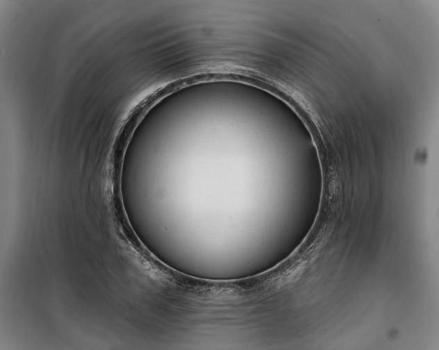 X0000100330979200806121123