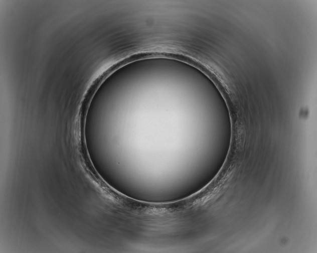 X0000100330982200806121123