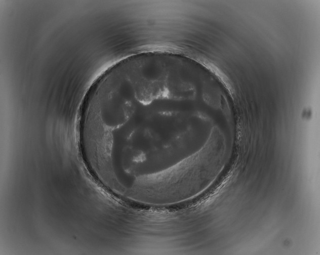 X0000100330983200806121123