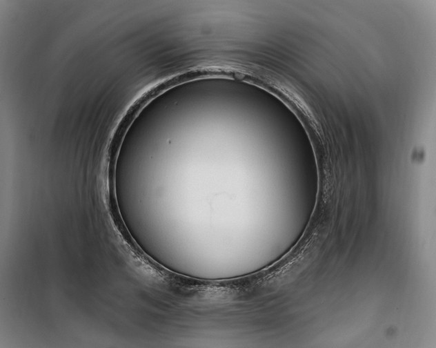 X0000100330984200806121123