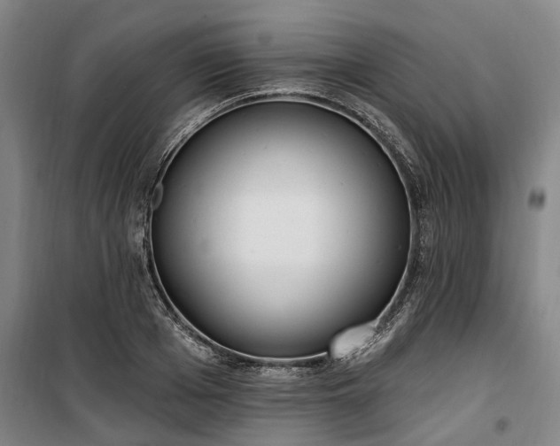 X0000100330985200806121123