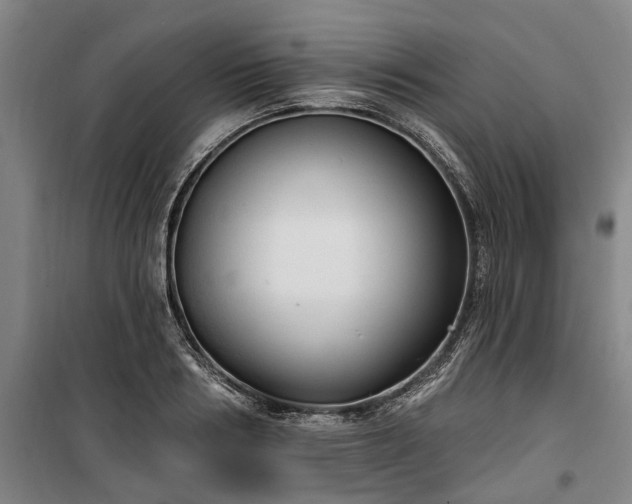 X0000100330986200806121123