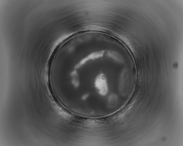 X0000100330987200806121123