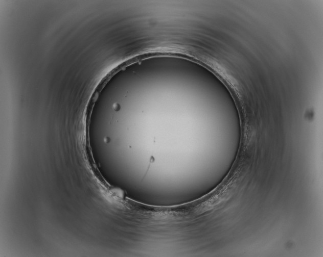 X0000100330988200806121123