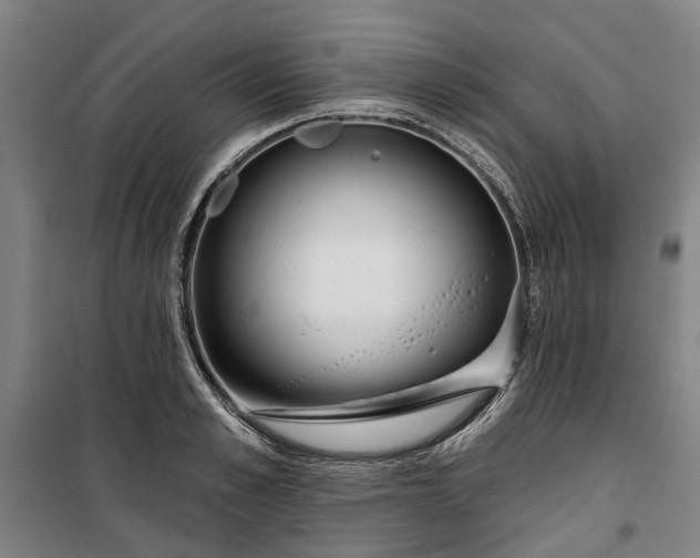 X0000100330989200806121123